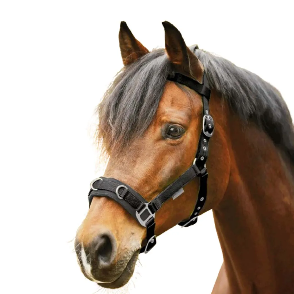 Beikircher Grünland cavezza pony nylon nera imbottita