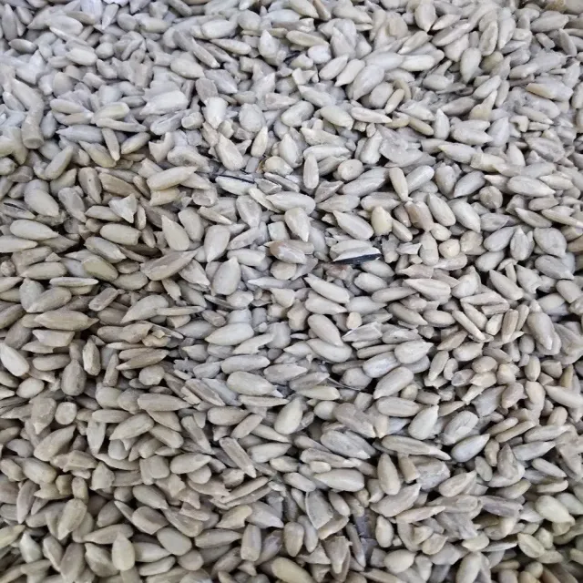 Beikircher Grünland semi girasole sgusciati uccelli 5 kg