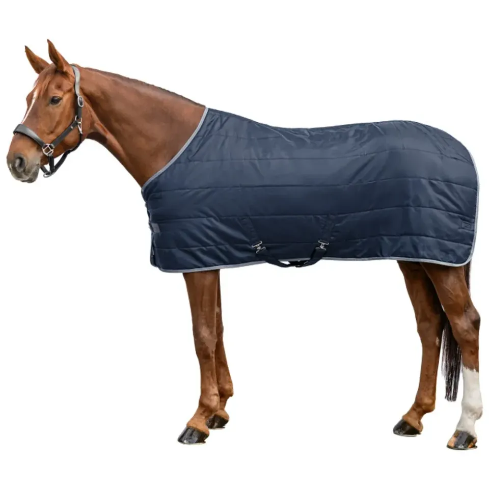 Beikircher Grünland Economic coperta box cavallo 300g inverno