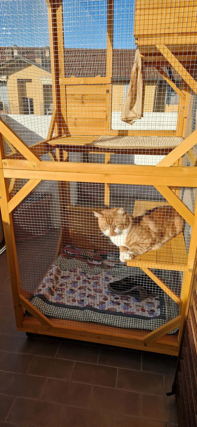 Il Verde Mondo Minou cuccia gatti esterno 80x86x180