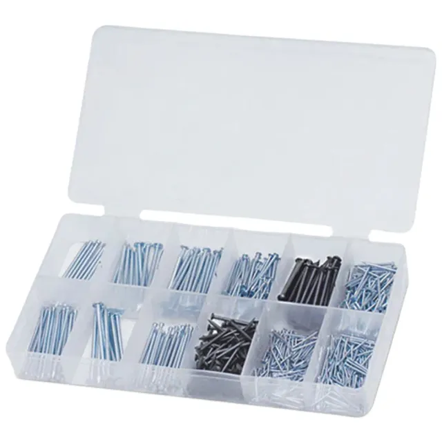 Set Chiodi e Spilli Assortiti 580 pz 19-50 mm Acciaio