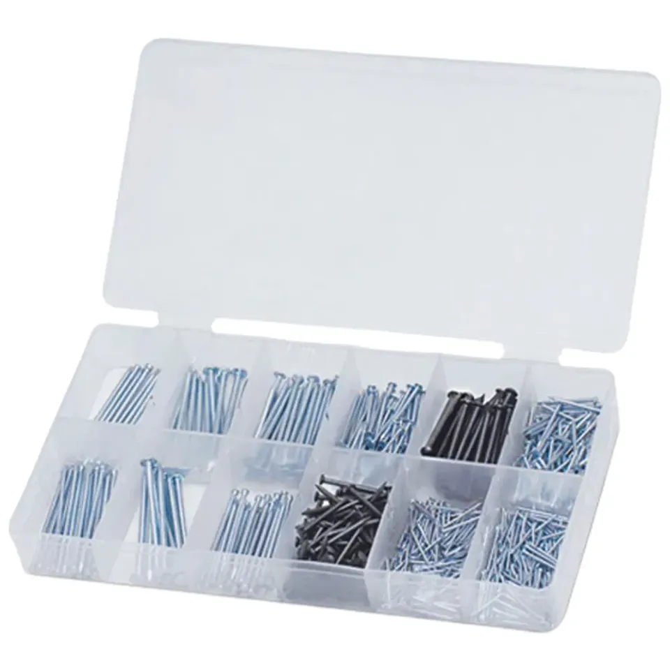 Set Chiodi e Spilli Assortiti 580 pz 19-50 mm Acciaio