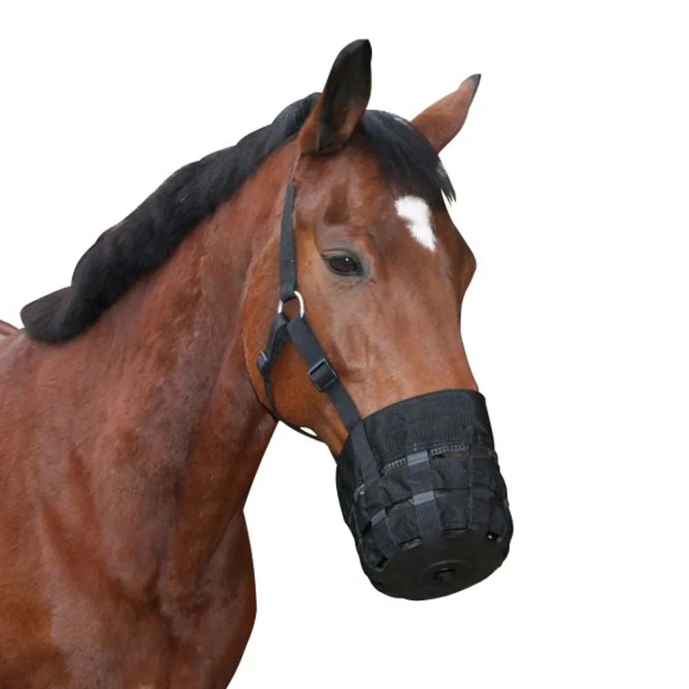 Beikircher Grünland museruola pascolo cavallo full