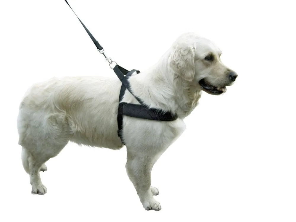 Beikircher Miami Plus pettorina cane 60x75cm nera idrorepellente