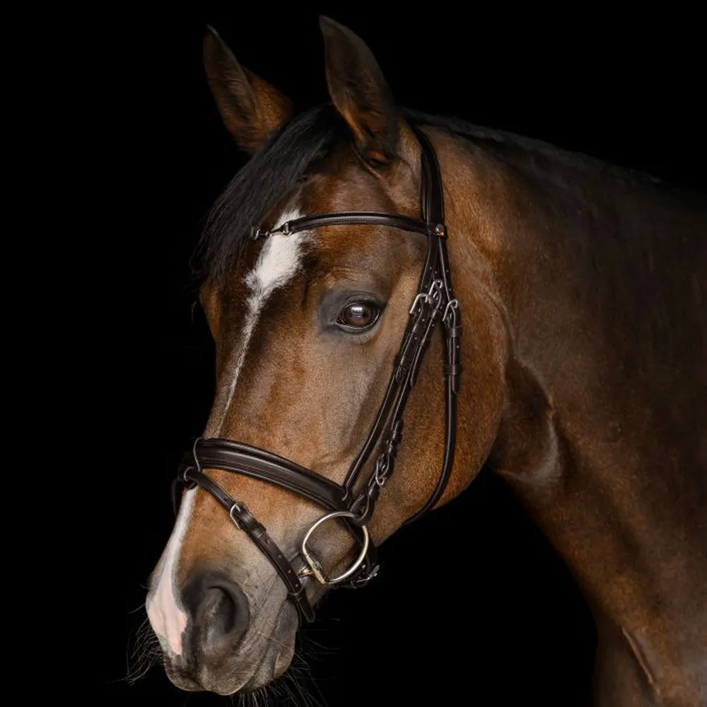 Waldhausen X-Line Charmbit Briglia Cavallo Anatomica