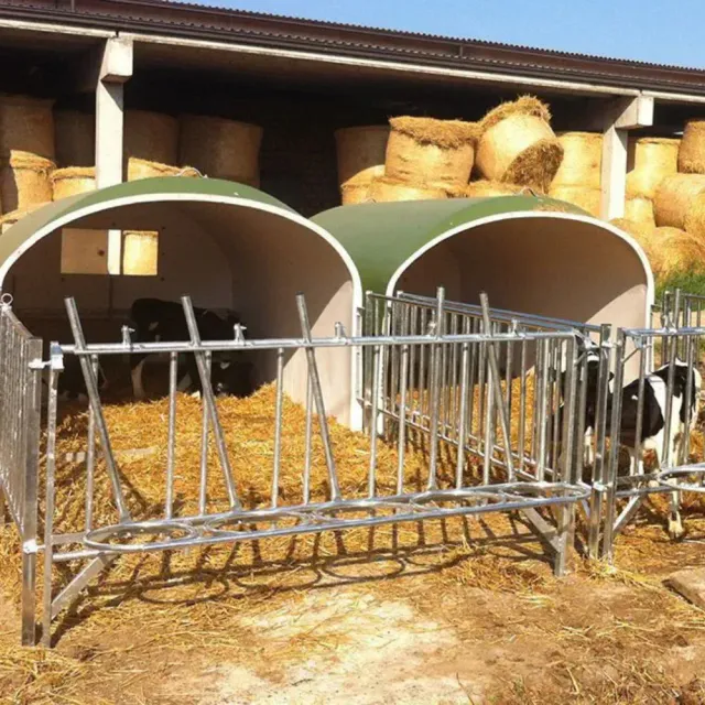 Loda Igloo Vitelli Vetroresina 5 Posti Fatto Durare