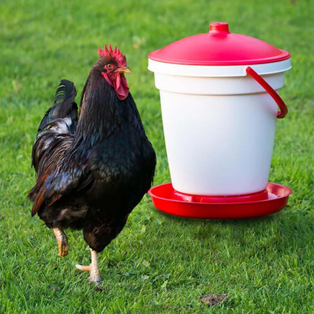 Beikircher Grünland Ares abbeveratoio polli sifone 18 L plastica