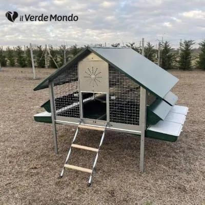 Il Verde Mondo Araucana pollaio ferro galline senza vassoio