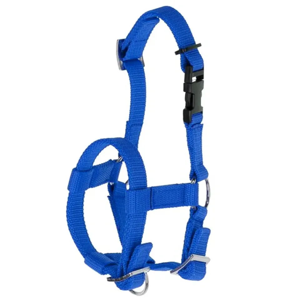 Cavezza Alpaca Pecore Regolabile Blu Morbida Conduzione