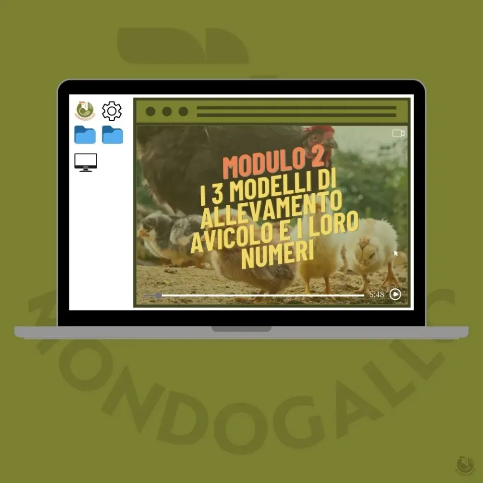 Il Verde Mondo Modulo 2 videocorso allevamento 3 modelli numeri