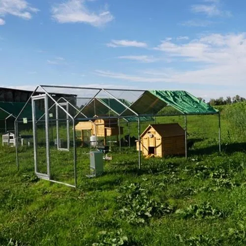 Il Verde Mondo Cocincina Plus kit pollaio 2x3 15 galline