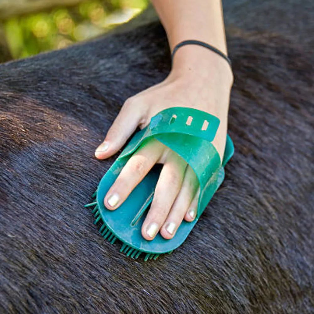 Beikircher Grünland striglia plastica aghi sottili 17,5 cm cavallo