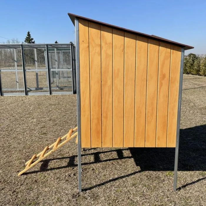 Il Verde Mondo Gastone Pollaio Legno per Galline Ornamentali