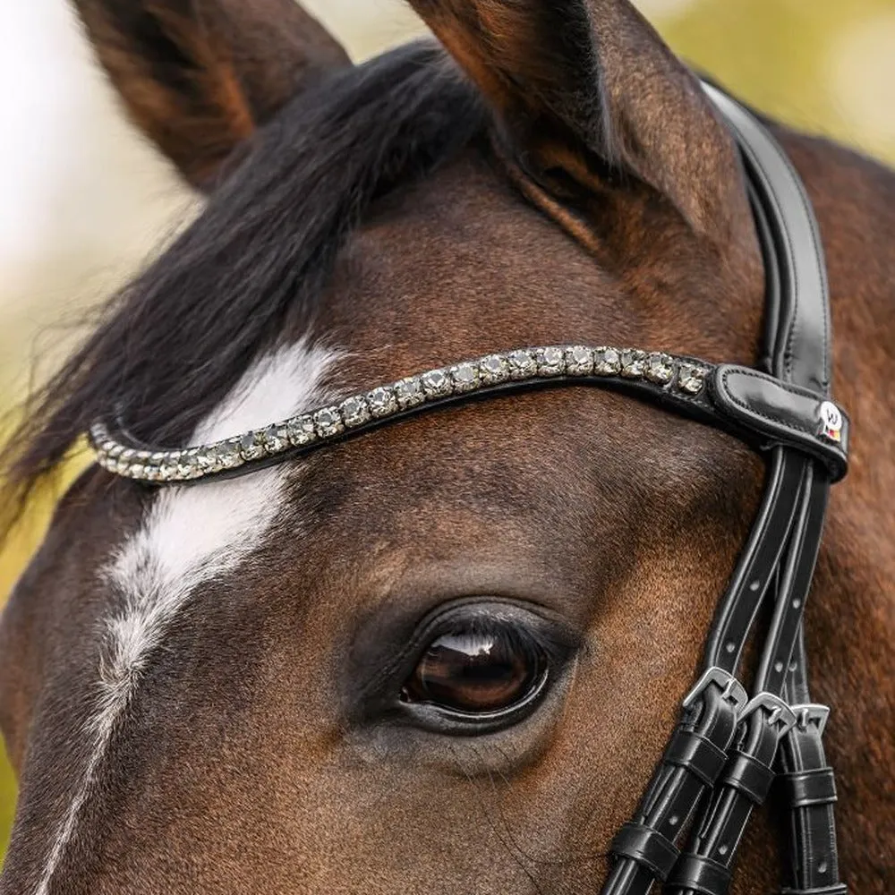 Beikircher Grünland X-Line Shine frontale cavallo nero Cob strass