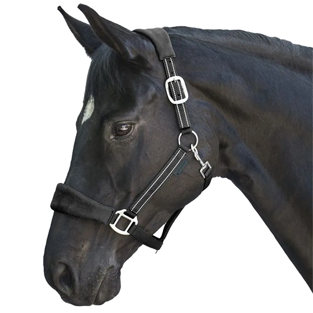 Cavezza Alcantara Imbottita per Cavallo Marrone Nero