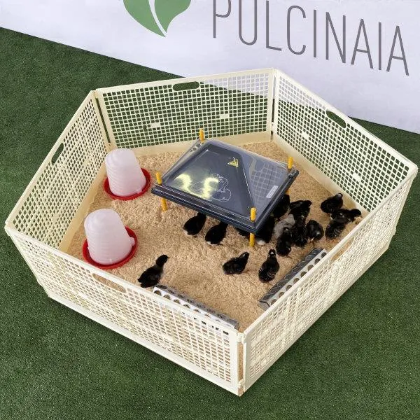 Il Verde Mondo pulcinaia svezzamento 40 pulcini kit completo
