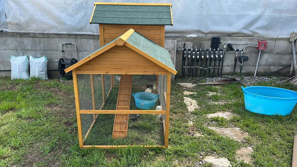 Il Verde Mondo Padovana XXL Pollaio Legno 6-8 Galline