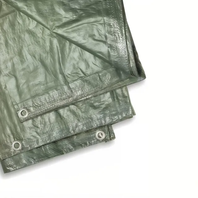 Il Verde Mondo Telo Copertura 5x6 Verde 200 g Occhiellato