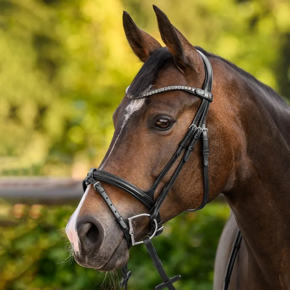 Beikircher Grünland X-Line Shine frontale cavallo nero Cob strass
