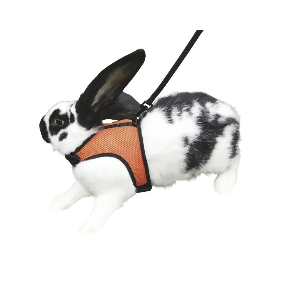 Beikircher Sport pettorina roditori 120 cm arancione 14-18 cm