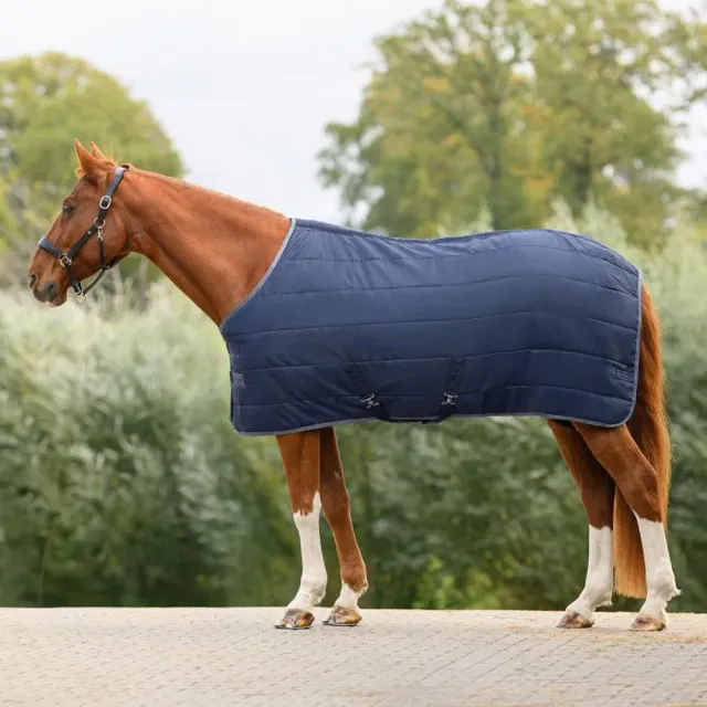 Beikircher Grünland Economic Coperta Box 200g 145cm