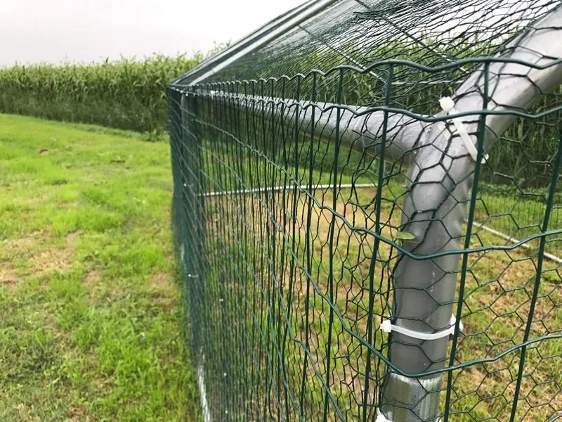 Il Verde Mondo Recinto Cani Giardino XL 6x3 m Doppia Rete
