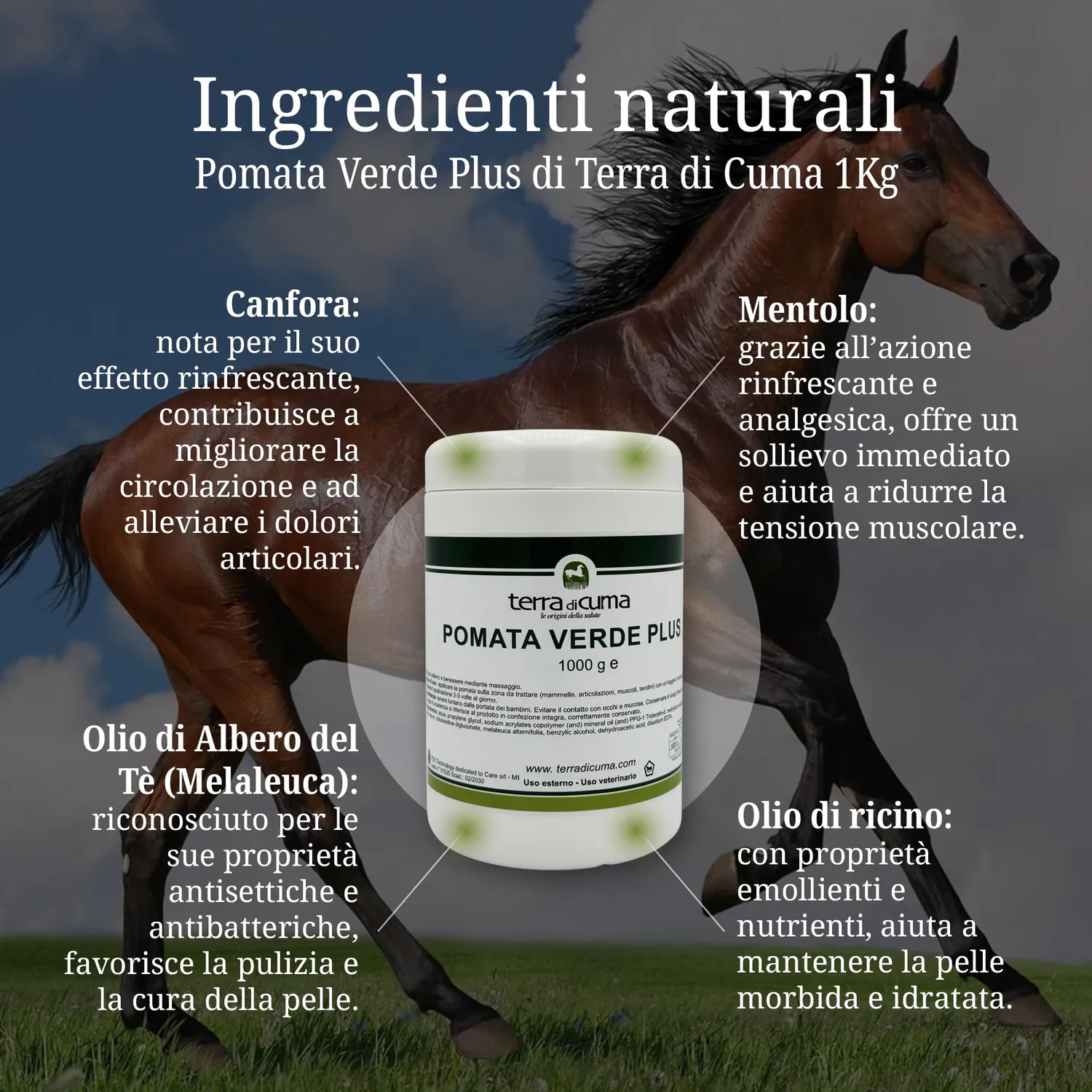 Terra di Cuma Pomata Verde Plus Cavalli 1 Kg Lenitiva