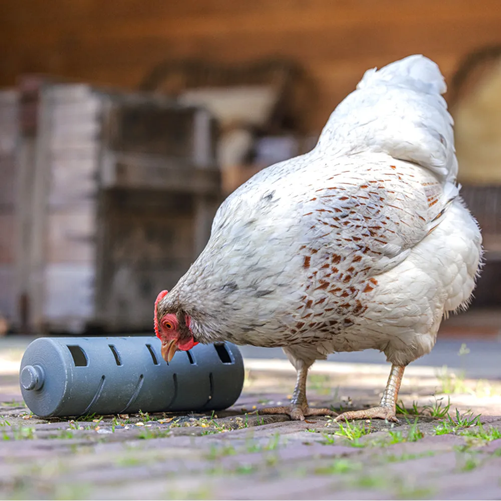 Beikircher Snack Roll mangiatoia gioco per galline riciclata