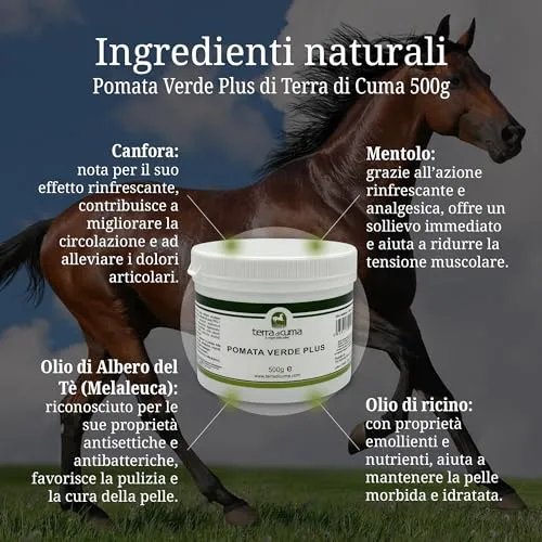 Terra di Cuma Pomata Verde Plus unguento 500 g lenitiva